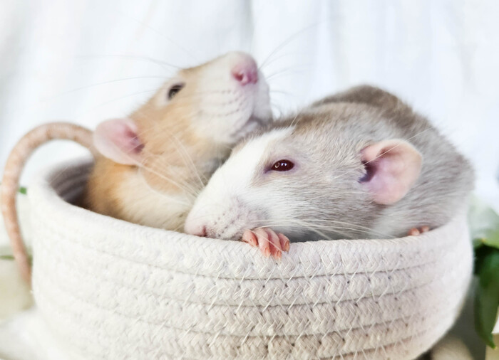 Совместный кадр.