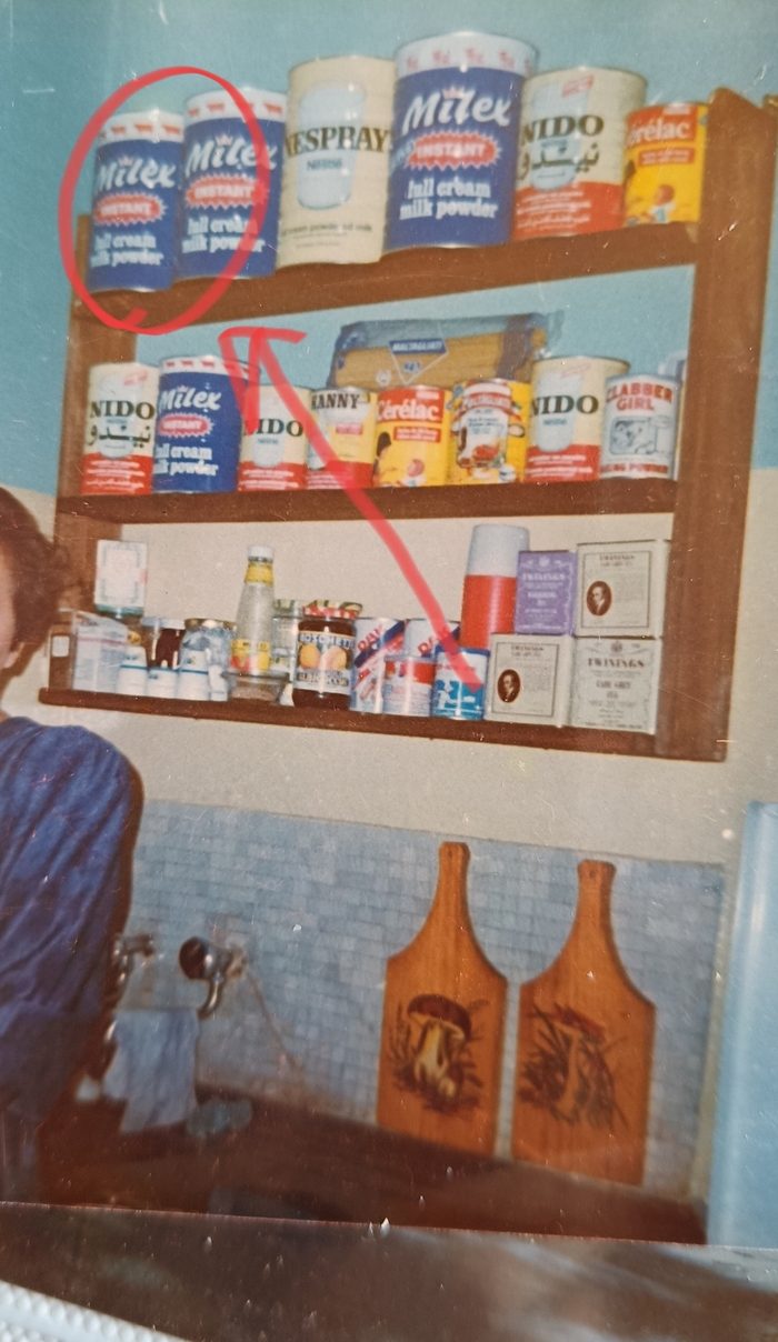      ,      . " , ,     " ()