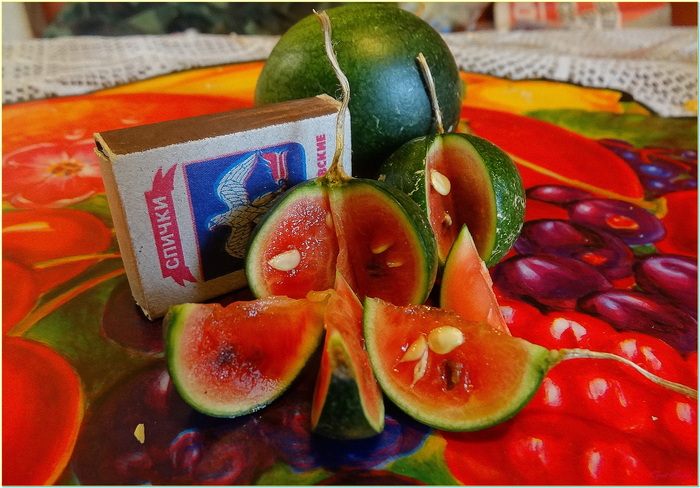 сразу показываю-итог...даже вызрел...и на вкус ничем не отличался от обычных арбузов...