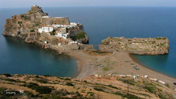 ������� ������ 85 ������ ����� �������� � �������