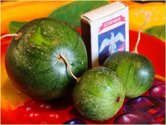 а вот-сравнение со спичечным коробком