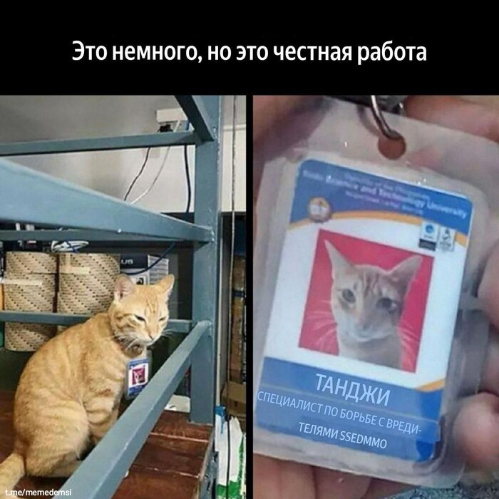 Главное найти работу по душе