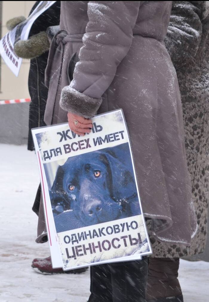 ��������� ������������