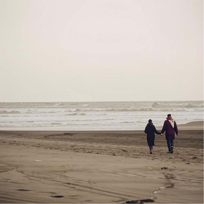 Стрекоза и муравей