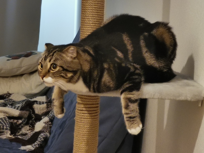   , ,  , , ,  ,  , 