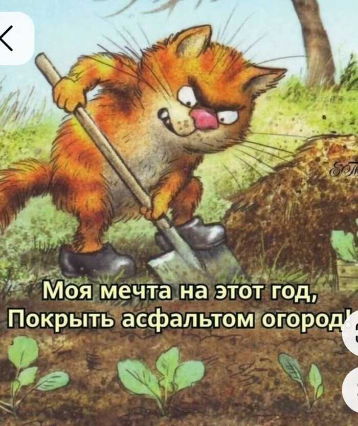 Мечта огородника!!! :)