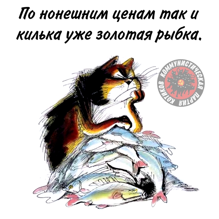    ,  , ,   