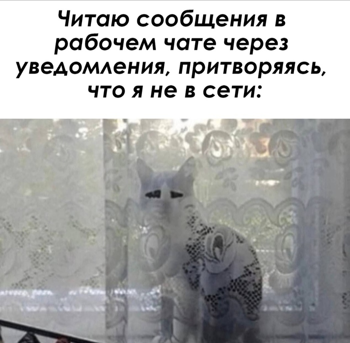 � ���� �� ����?