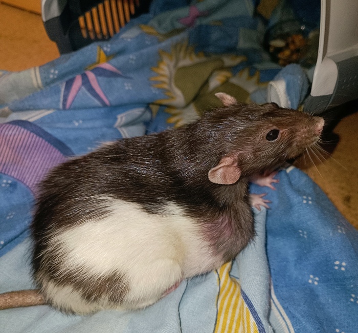    , , , 