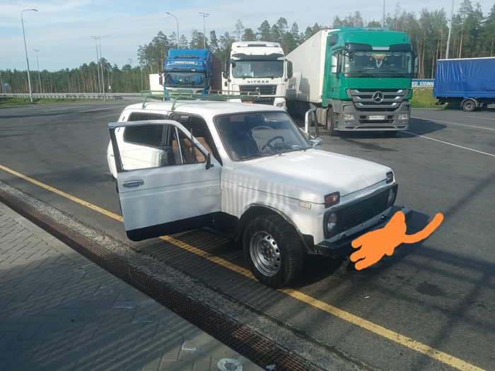 Гайд о покупке нивы