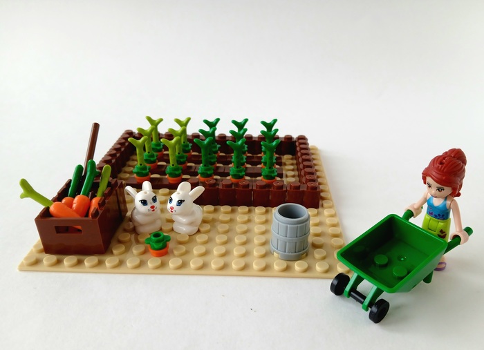  -.  50.      , , LEGO, , , , 