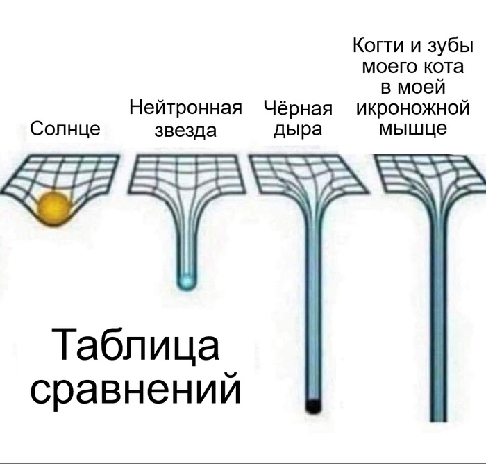   ))