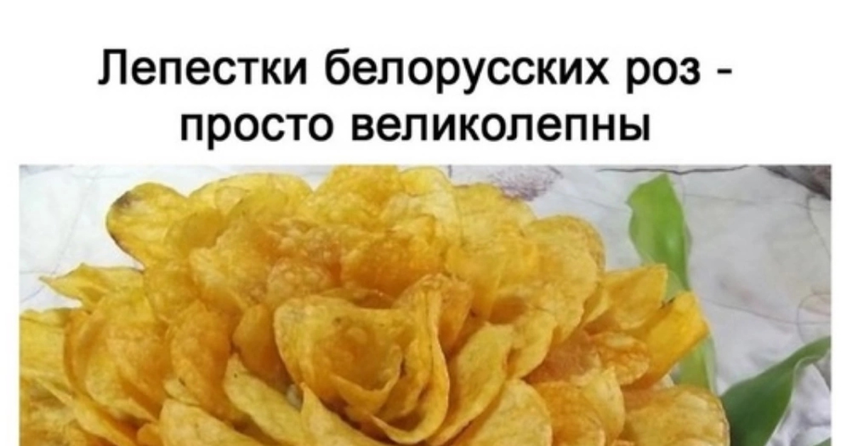 Белорусские розы прекрасны