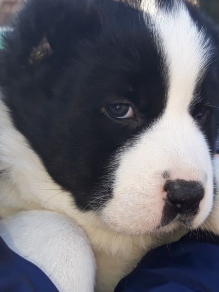 Вот оно счастье...