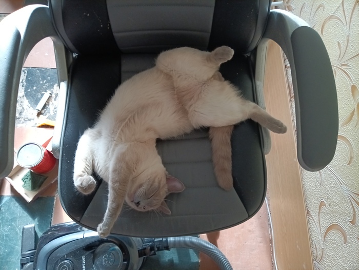 Отдых после ночных тыгыдыков