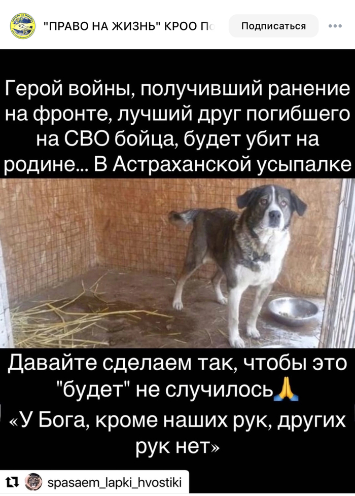   " "  :           ,  , , , , , , , , Telegram (),  (), , ,   , 