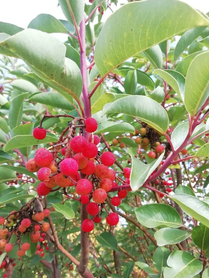    , , ,  ,  ,  , 