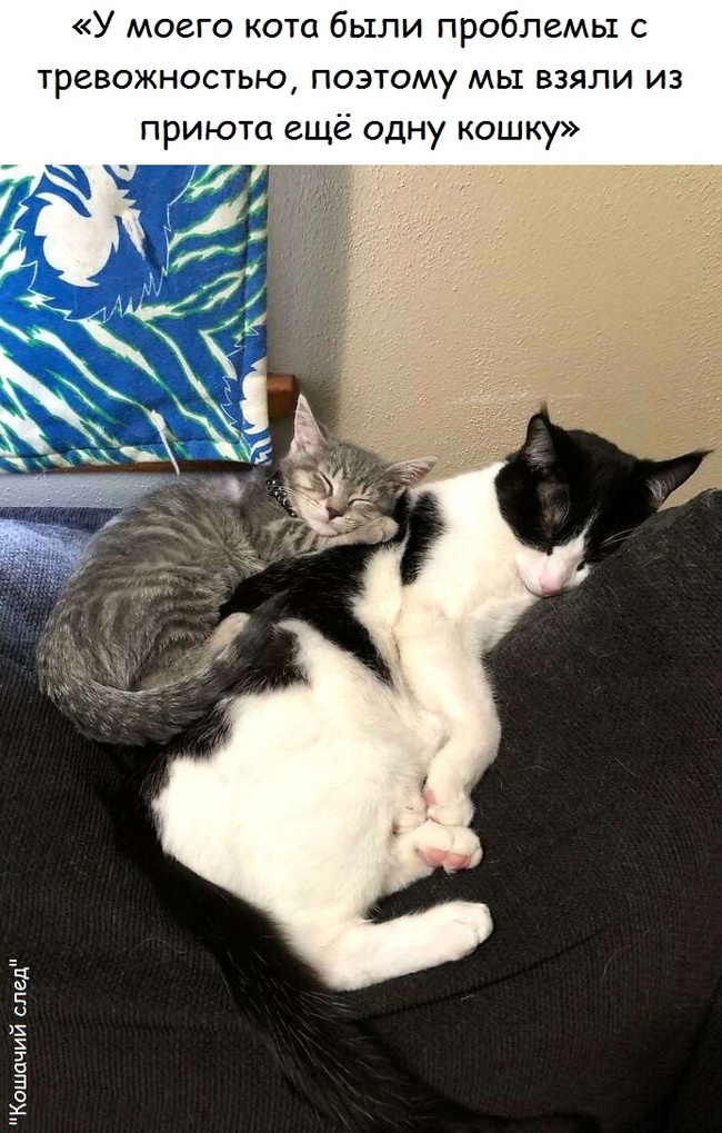   ,   ,  ,  (), ,   