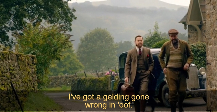 All Creatures - Great and Small