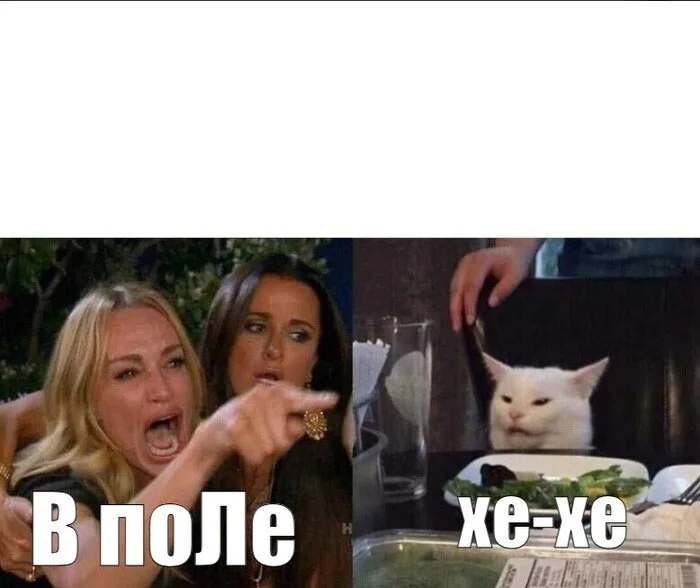 Prints are such prints - My, Print, T-shirt, Memes, Longpost, Two women yell at the cat