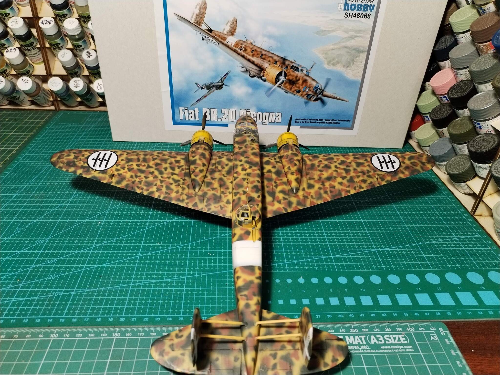 Fiat BR.20 Cicogna  1/48 Special Hobby - Моё, Стендовый моделизм, Моделизм, Коллекционирование, Вторая мировая война, Авиация, Италия, Длиннопост, Кот