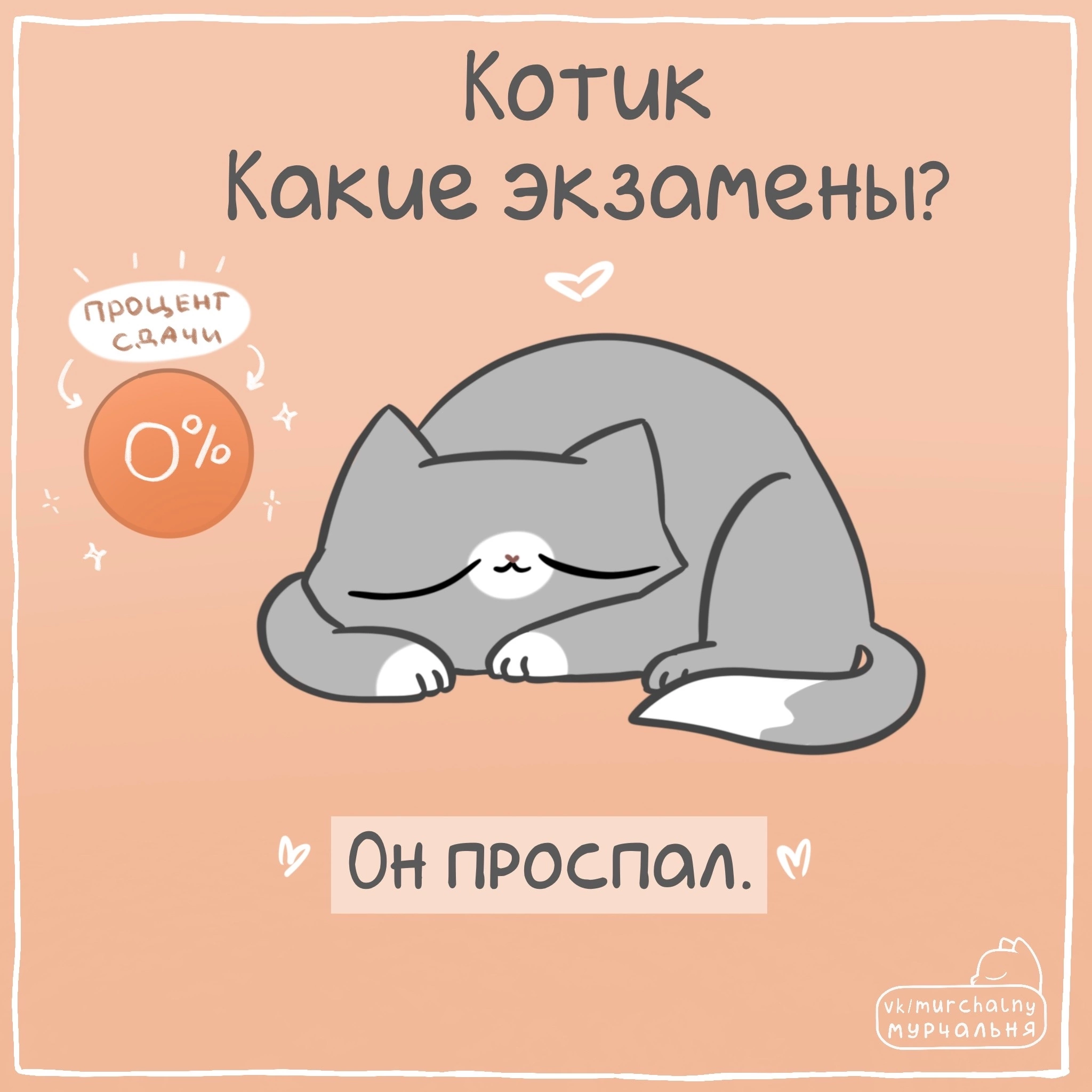 How are your exams going? - Comics, cat, Drawing, Humor, Exam, Funny animals, Longpost