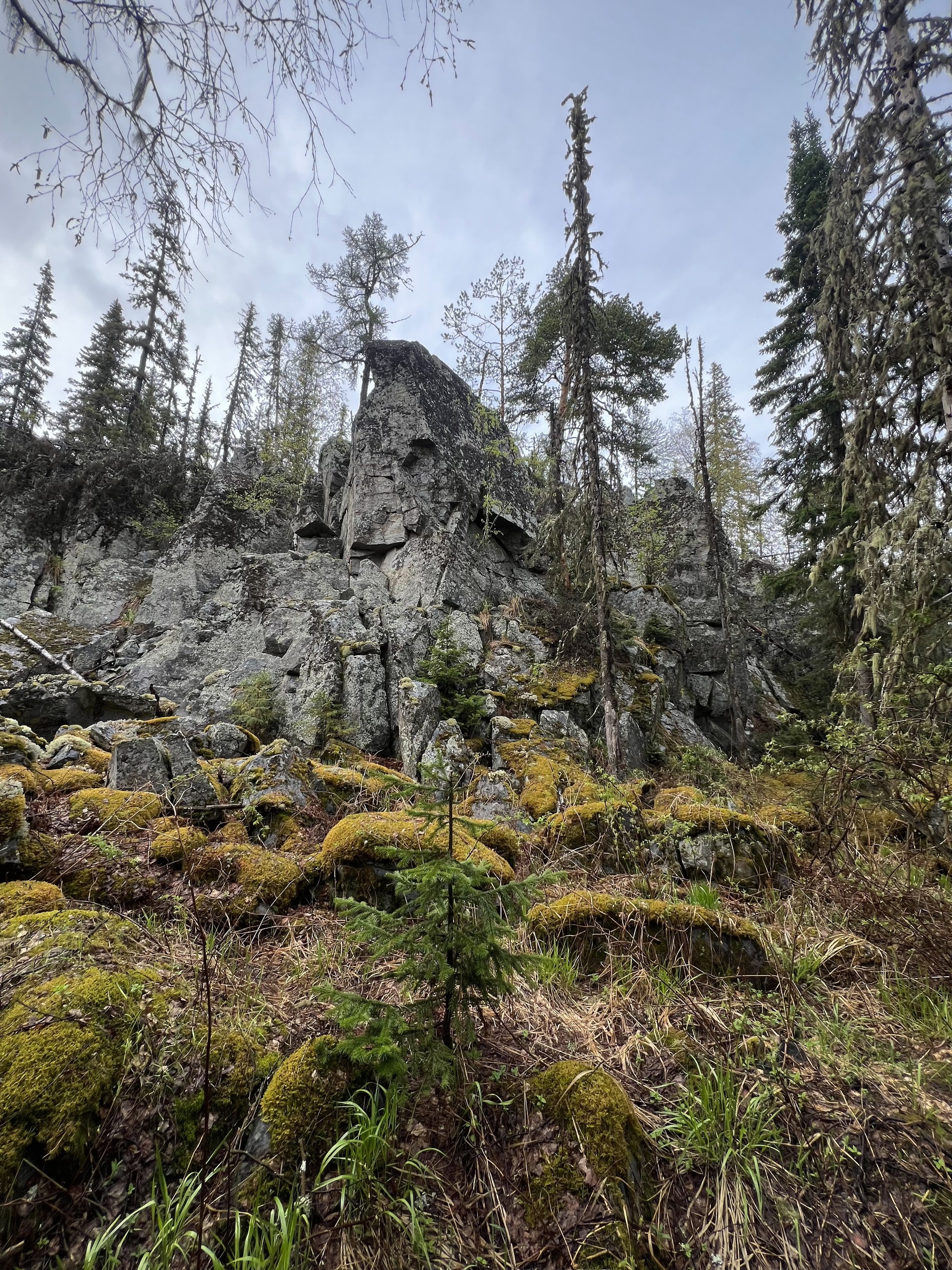 Hiking to Mashak 1 day, 37 km covered - My, Hike, Travel across Russia, Camping, Southern Urals, Bashkortostan, Yamantau, Reserves and sanctuaries, Ural, Ural mountains, Mountain tourism, Longpost