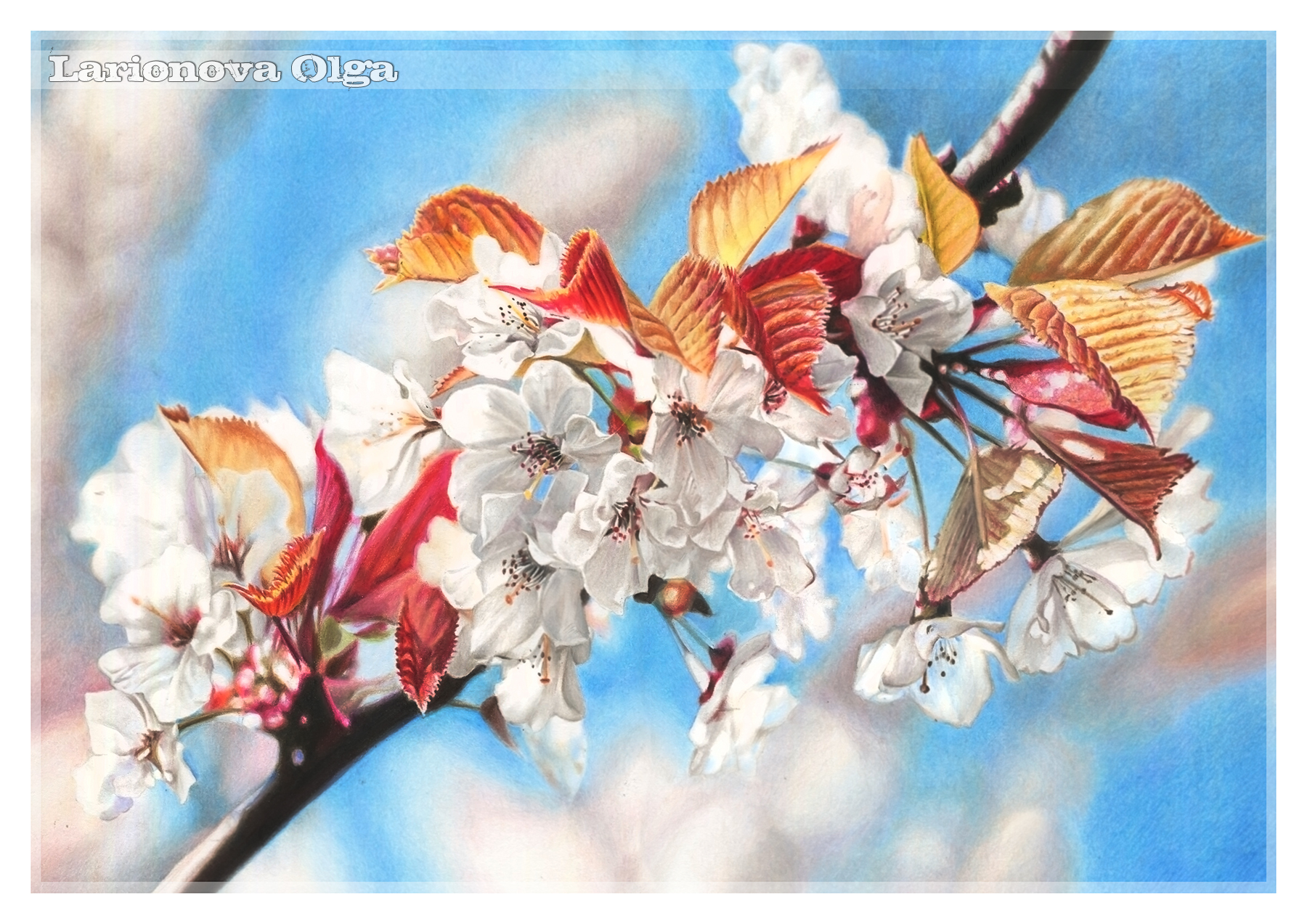 Drawing with colored pencils - My, Drawing, Photorealism, Colour pencils, Sketching, Art, Nature