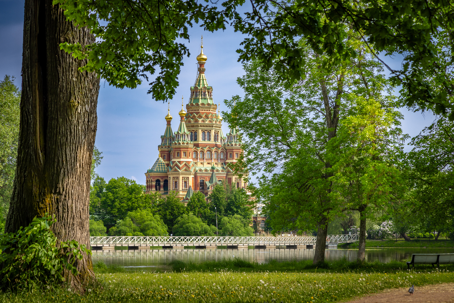 I'm taking pictures - My, The photo, Nature, Landscape, Architecture, The park, Peterhof, Saint Petersburg