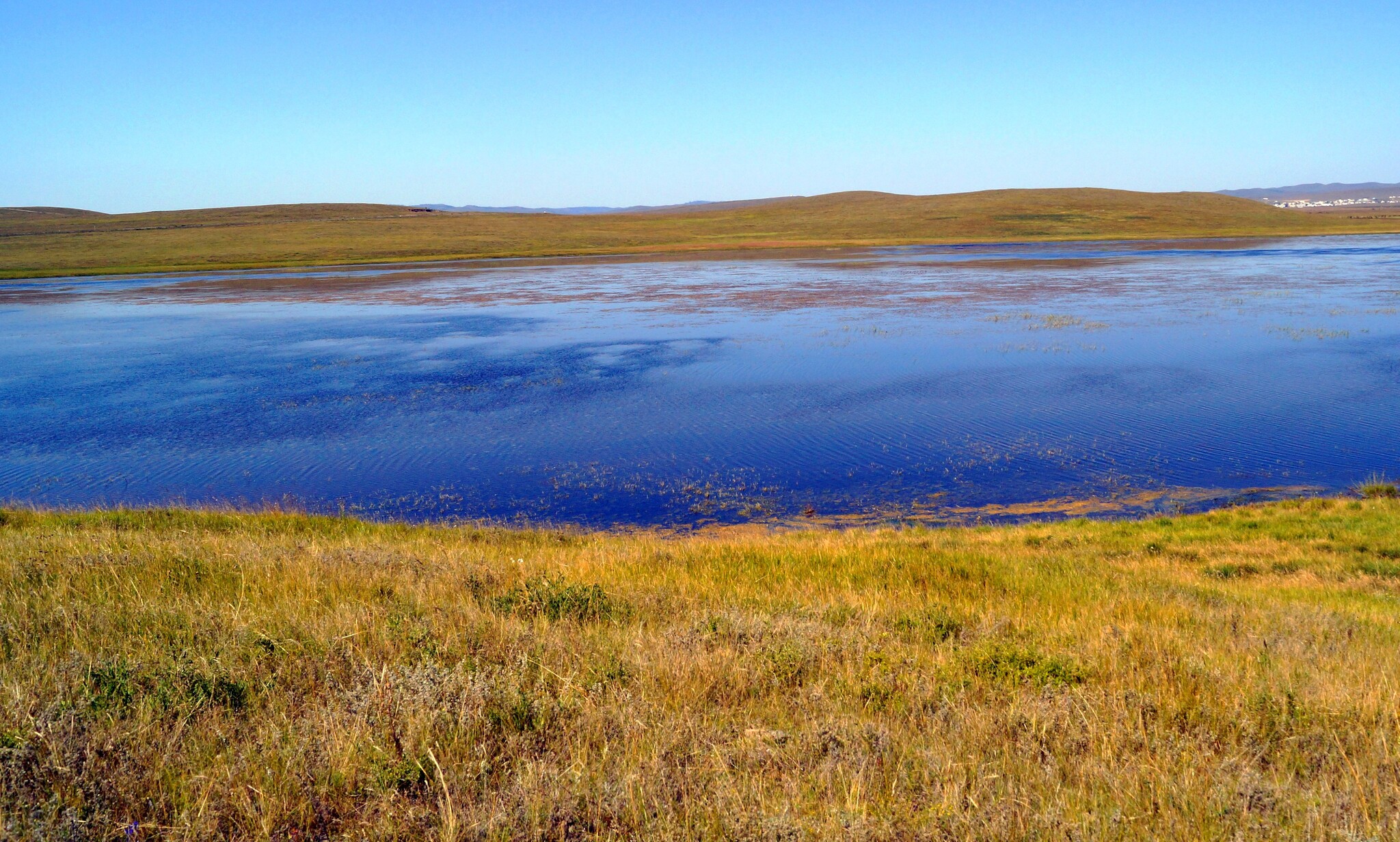 Steppe Lake - My, The photo, Landscape, Tourism, Steppe, Lake, Aginskoye