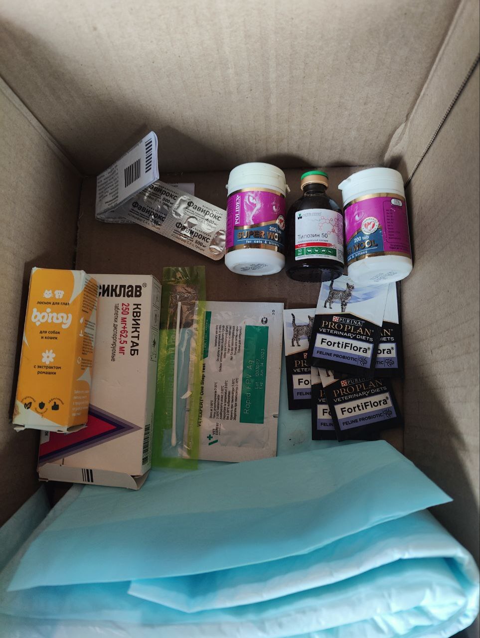 I'm spending your donations. 11.05 - 03.06.24. Medicines, consumables, tests, food, sterilization of cats (20). 13 tails found at home - My, Animal Rescue, Helping animals, Veterinary, cat, Charity, Report, Donates to Peekaboo, Longpost