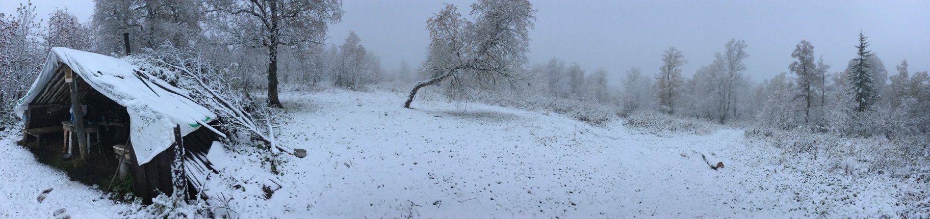 Unknown Southern Urals. Forest huts - My, sights, Hut, Forest, Southern Urals, Urenga Range, Ural, Ural mountains, Nature, Survival, 4x4, UAZ, Video, Vertical video, Longpost, The photo, Travel across Russia