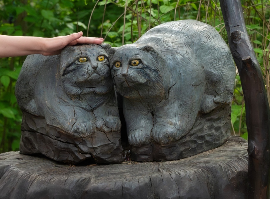 Beauty will save the world! - Pallas' cat, Wild animals, Predatory animals, Cat family, Small cats, Sculpture, Guessing, Longpost