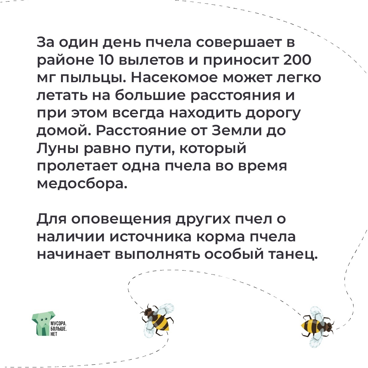 Interesting facts about bees - My, Ecology, Garbage, Nature, Bees, Beekeeping, Honey, Mbn, Animal protection, Insects, Field, Wildflowers, The nature of Russia, Bloom, Longpost