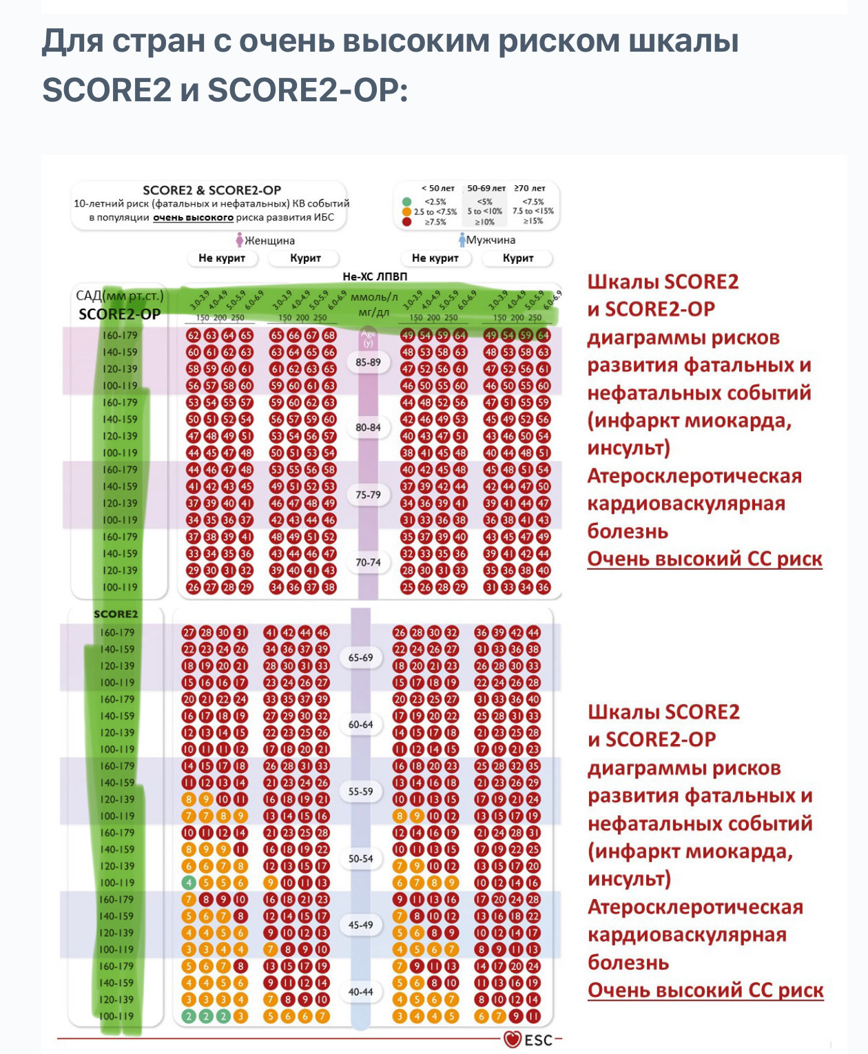 Do you know your 10-year risk of death and fatal CVD events (myocardial infarction, stroke)? - My, Diet, Fats, Protein, Nutrition, Text, Healthy lifestyle, Endocrinology, Cardiology, Heart, Heart attack, Longpost