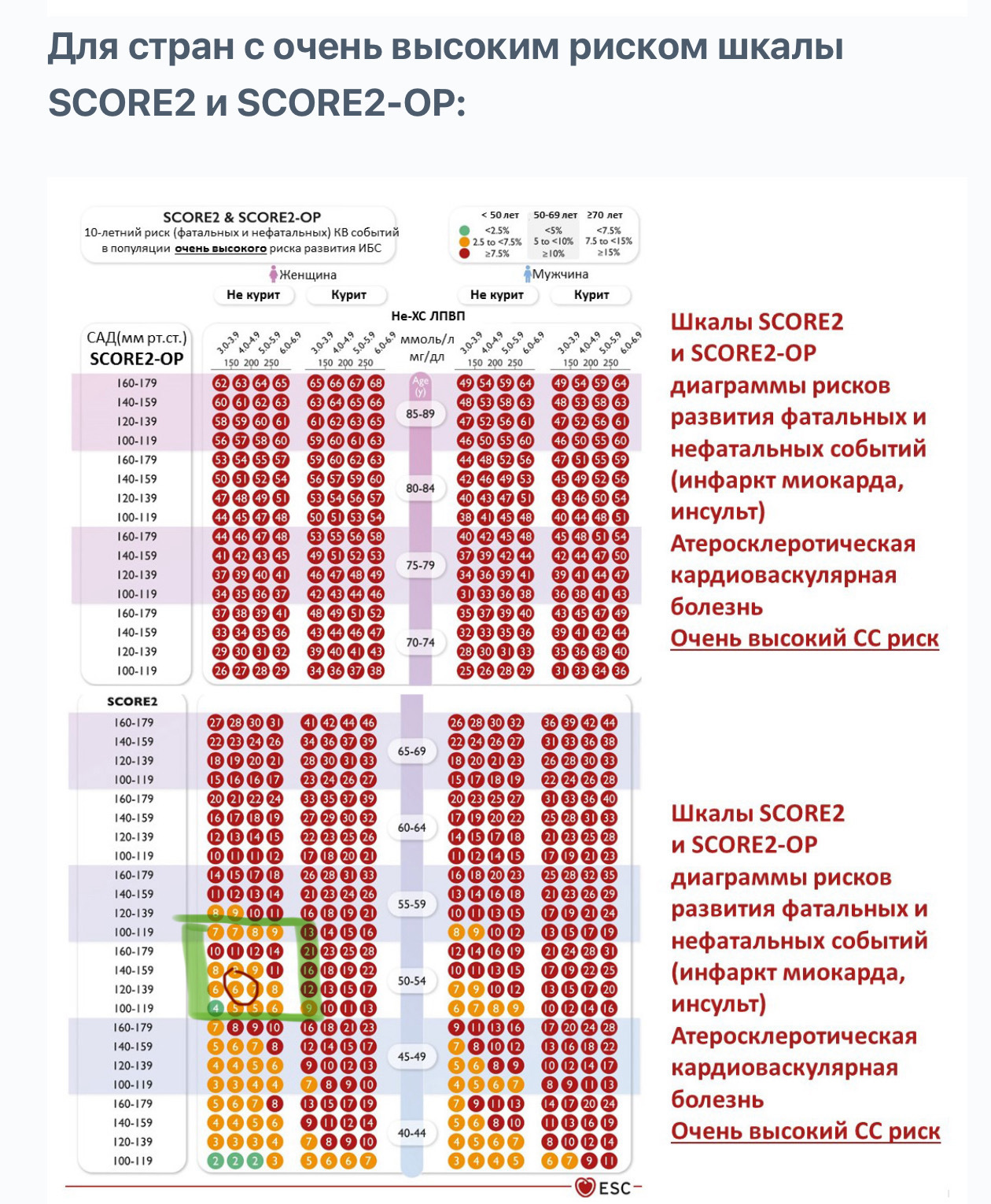 Do you know your 10-year risk of death and fatal CVD events (myocardial infarction, stroke)? - My, Diet, Fats, Protein, Nutrition, Text, Healthy lifestyle, Endocrinology, Cardiology, Heart, Heart attack, Longpost