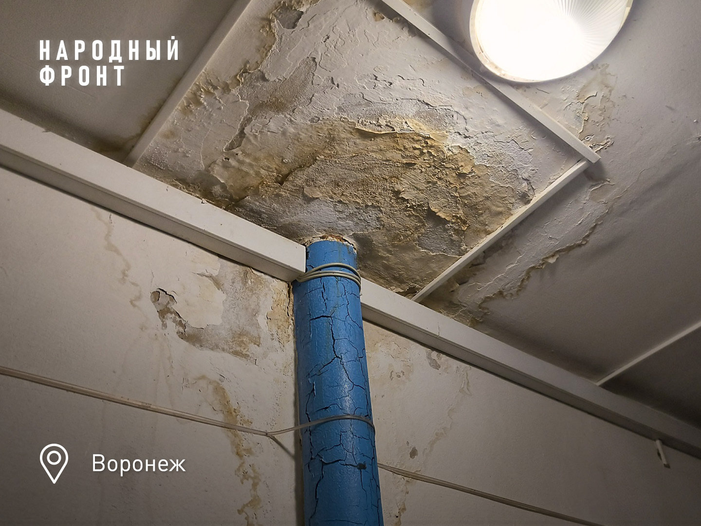 The negligent Voronezh “manager” was sued, and its director will be fined - My, Housing and communal services, Voronezh, Negative, The photo, House, People, Health, Longpost