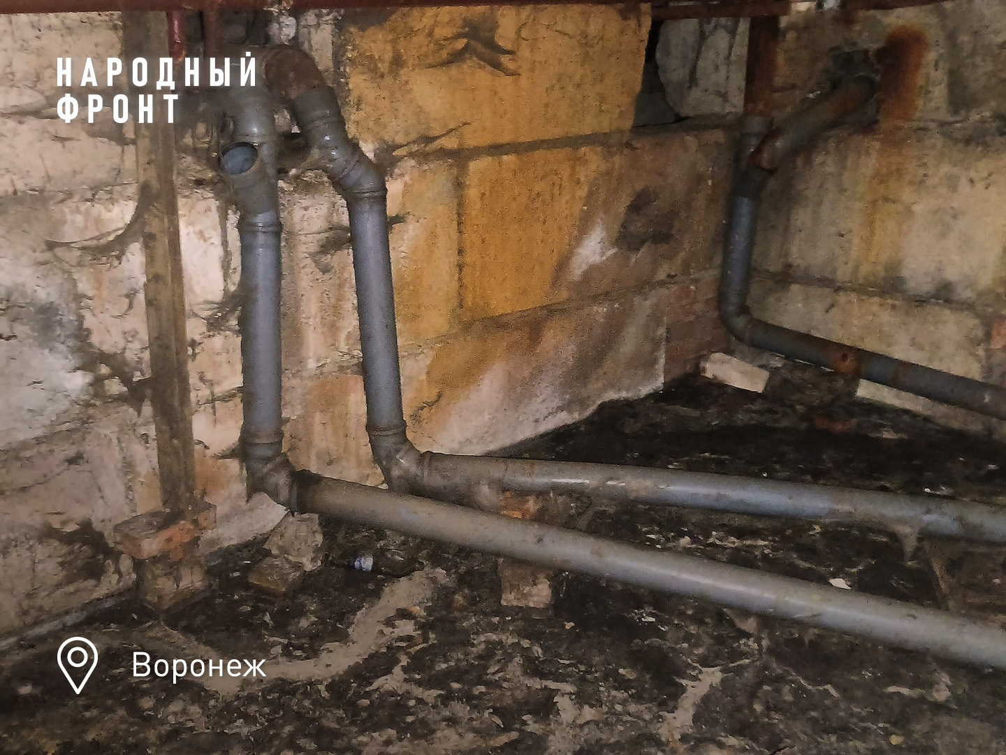 The negligent Voronezh “manager” was sued, and its director will be fined - My, Housing and communal services, Voronezh, Negative, The photo, House, People, Health, Longpost