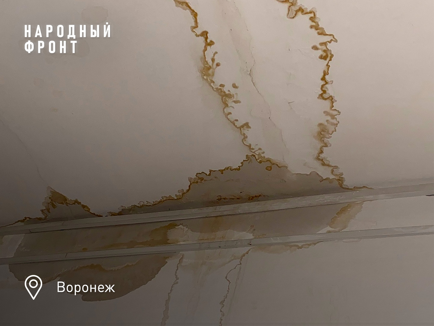 The negligent Voronezh “manager” was sued, and its director will be fined - My, Housing and communal services, Voronezh, Negative, The photo, House, People, Health, Longpost