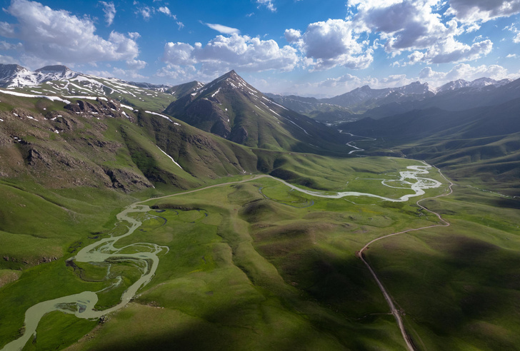 Turkish shepherds drive their flocks to summer pastures - Herd, Pets, Ungulates, Artiodactyls, Sheeps, Goat, Turkey, Ferry, Shepherd, Livestock breeding, Longpost