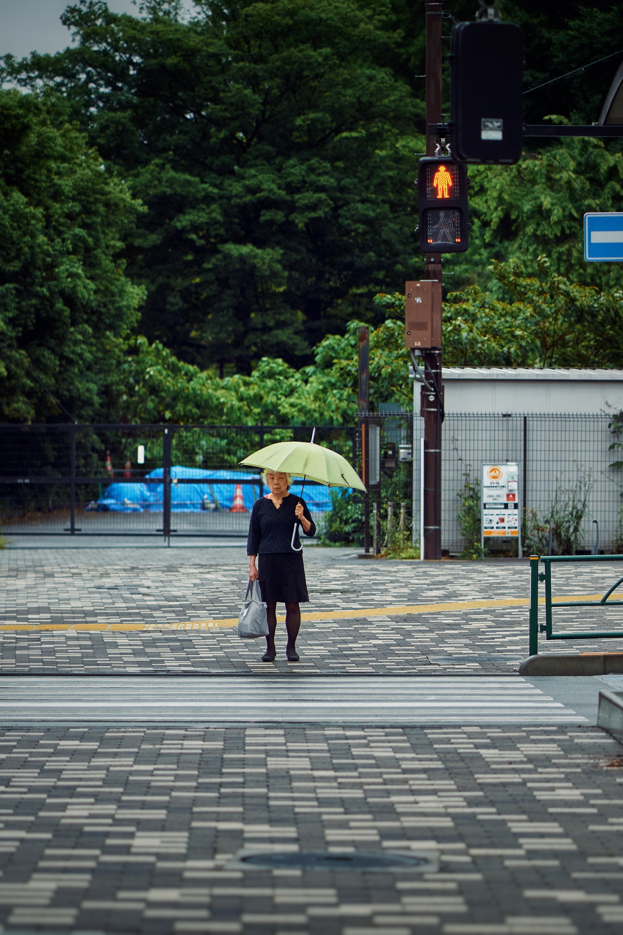 Umbrellas in Tokyo - My, The photo, Japan, Tokyo, Sony, Travels, Longpost, City walk, Umbrella