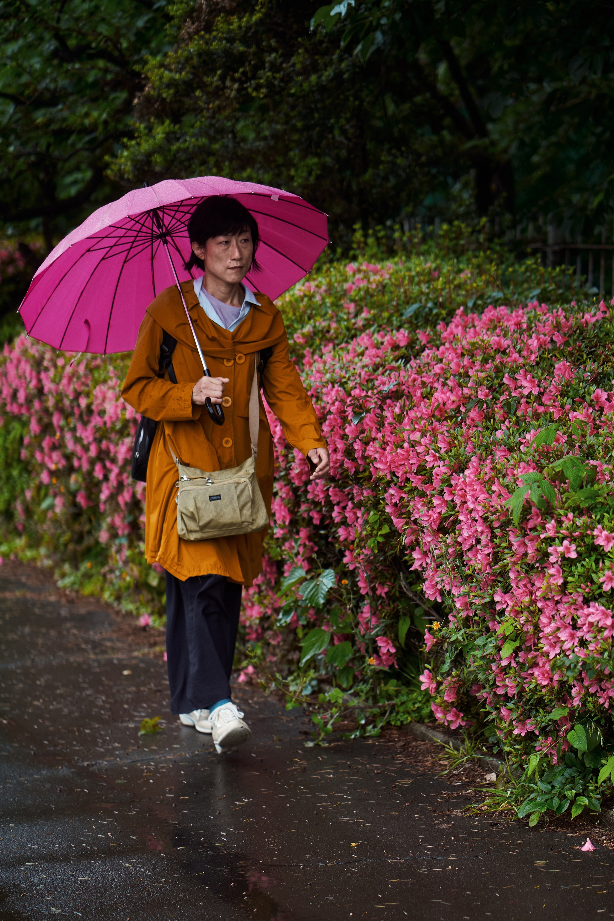 Umbrellas in Tokyo - My, The photo, Japan, Tokyo, Sony, Travels, Longpost, City walk, Umbrella