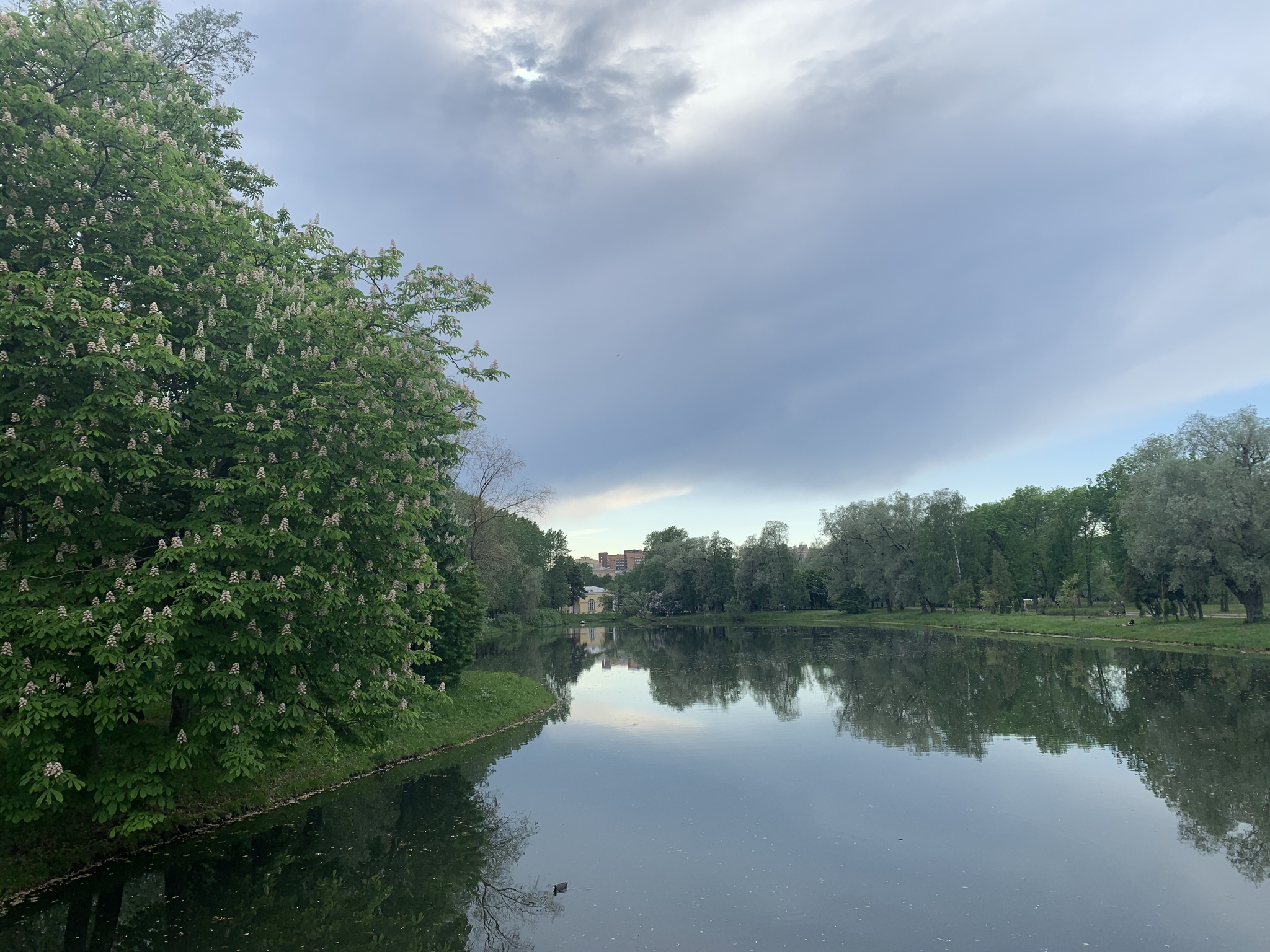 My childhood park - My, The park, Walk, City walk, Hiking, Childhood memories, Childhood in the USSR, Nostalgia, Longpost