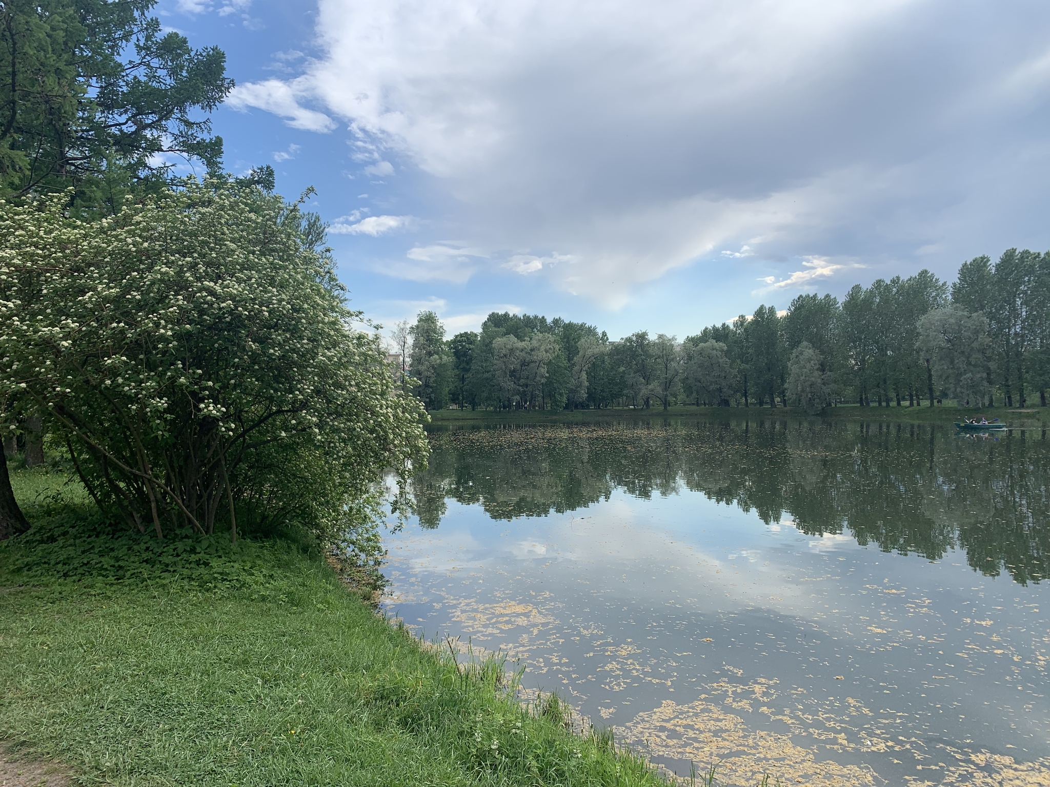 My childhood park - My, The park, Walk, City walk, Hiking, Childhood memories, Childhood in the USSR, Nostalgia, Longpost