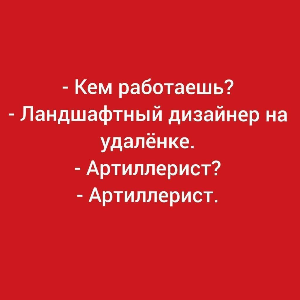 Удаленка такая удаленка... | Пикабу