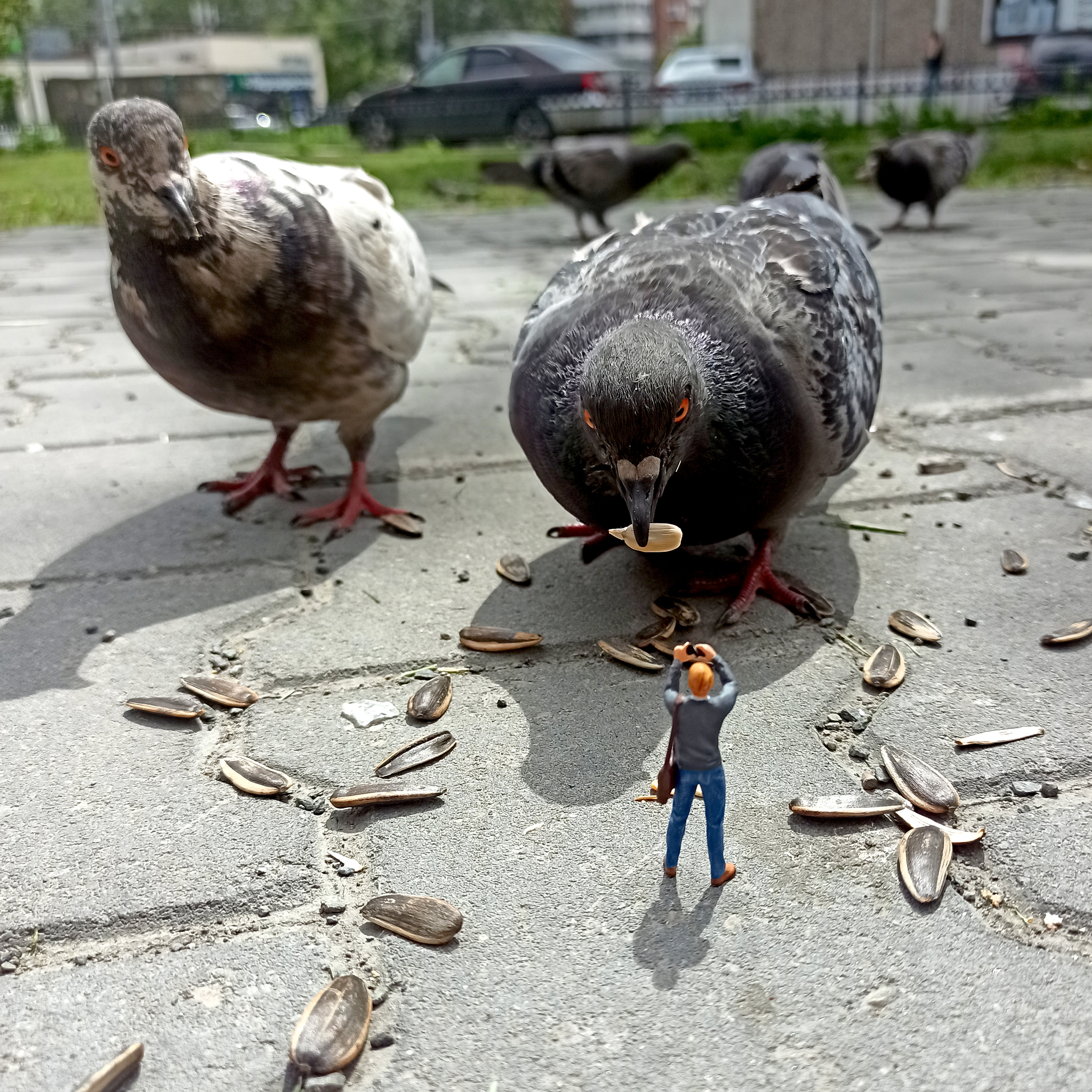 Fearless paparazzi - My, Figurines, Modeling, 3D печать, Scale model, Miniature, Painting miniatures, Stand modeling, Painting, Collecting, Painting, 3D modeling, Pigeon, Photographer, Streamers, Paparazzi, Longpost, Needlework without process