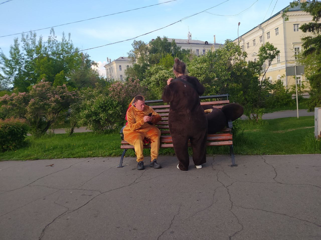 Лошадиная зараза в Иркутске - Вымогательство, Лошади, Иркутск, Мошенничество, Длиннопост, Негатив