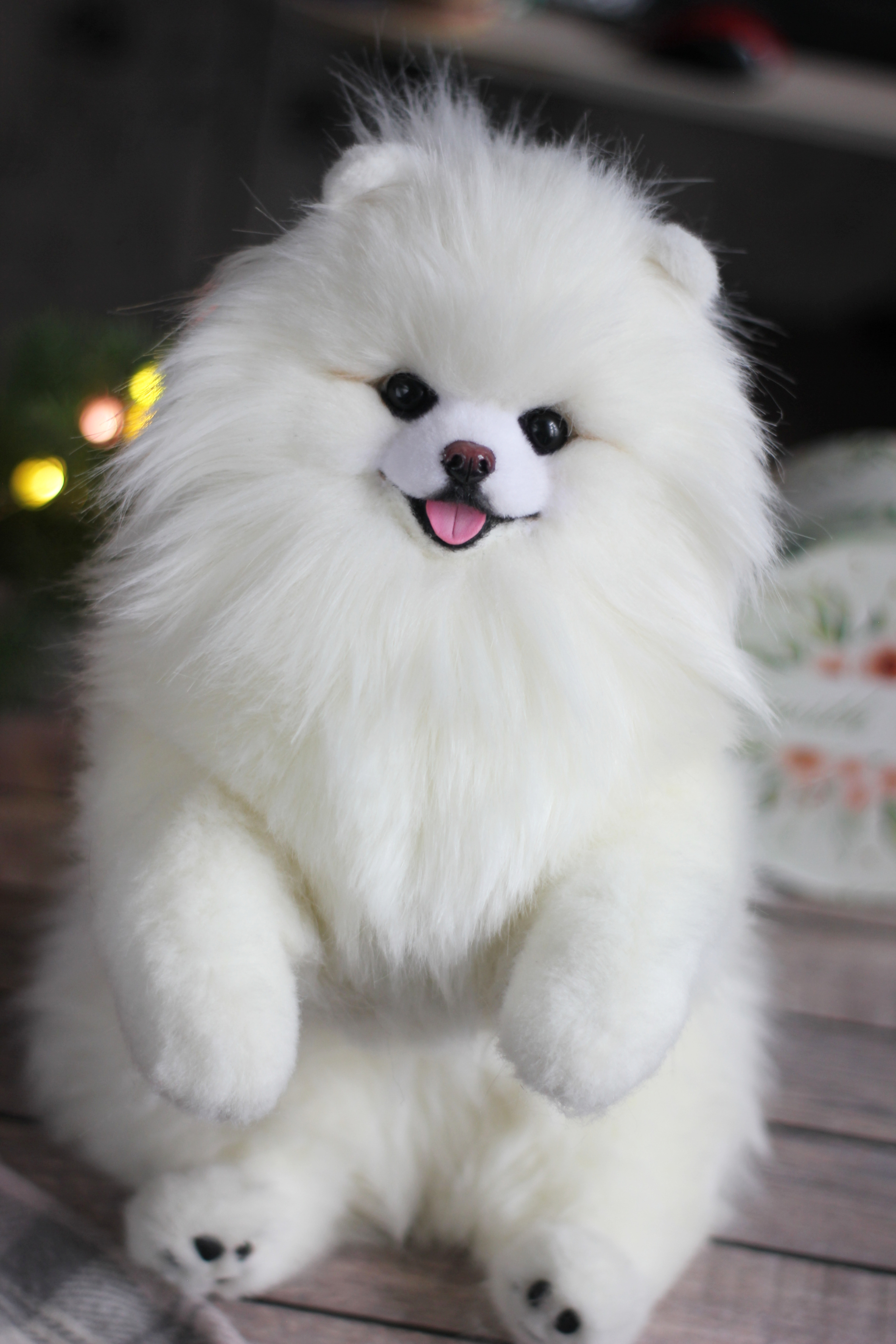 Handmade Spitz - My, Needlework without process, Handmade, Spitz, Pomeranian, Author's toy, Soft toy, Nature, Realism, Artificial fur, Milota, Dog, Longpost