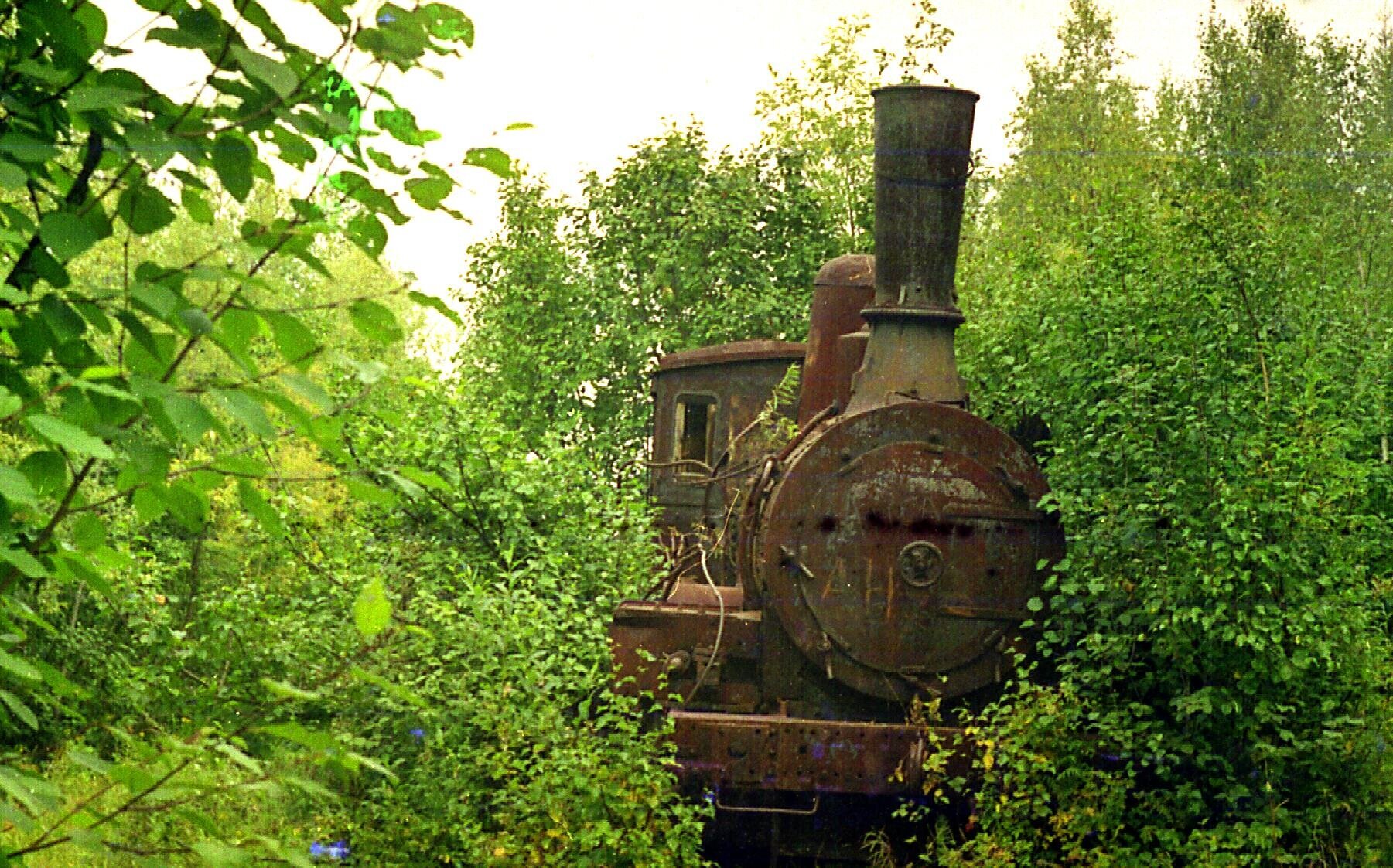 Stalin's dead road: how the northern BAM project ended - Road, Railway, North, Ural, Stalin, Prisoners, Building, Longpost