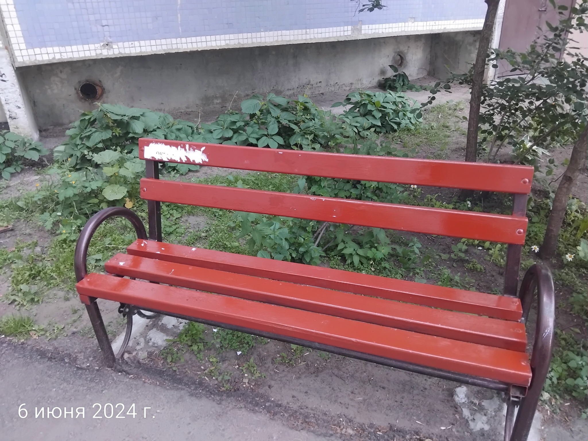 Painted - My, Ulyanovsk, Humor, With your own hands, Coloration, Depravity, Benches, The photo